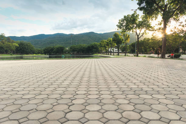 Best Driveway Paving Contractor  in Bingham Farms, MI